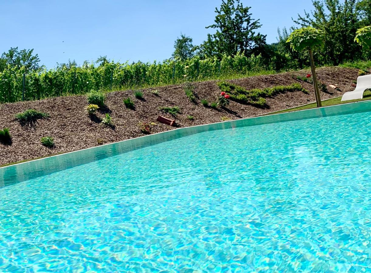 Weinberg Chalets Eisenberg an der Pinka ภายนอก รูปภาพ